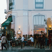 Seagull Method Café